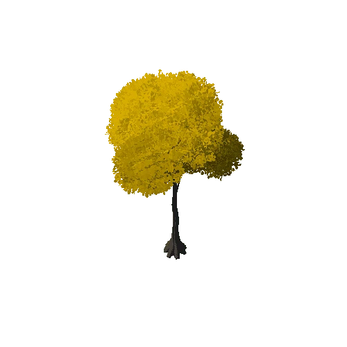 Broadleaf Tree 4